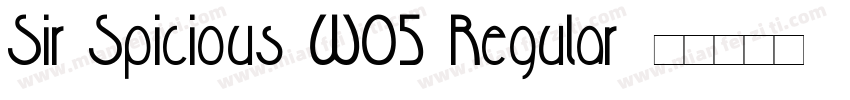 Sir Spicious W05 Regular字体转换